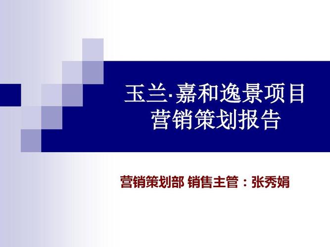 某公司项目营销策划报告——企业营销策划方案
